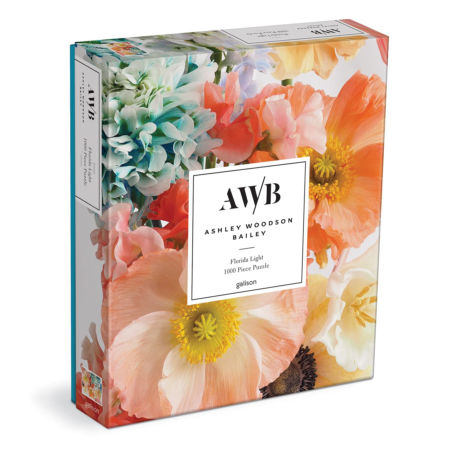 Ashley Woodson Bailey Florida Light 1000 Piece Puzzle 