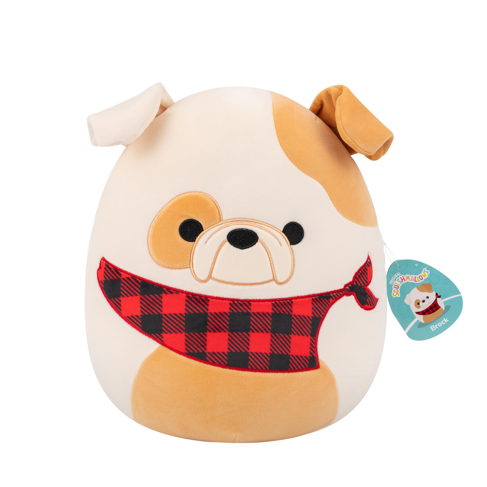 Squishmallows - 12in Brock the Bulldog w/Bandana